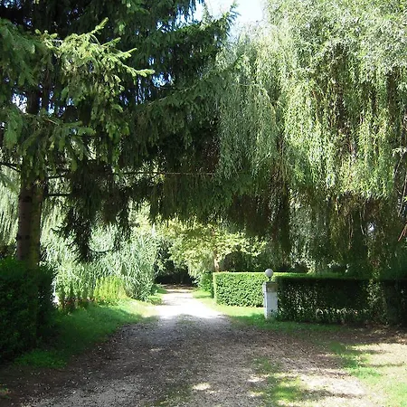 Balf Panzio 3* Ödenburg