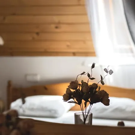 Couette-café Balf Panzio Sopron