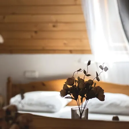 Balf Panzio לינה וארוחת בוקר 3*