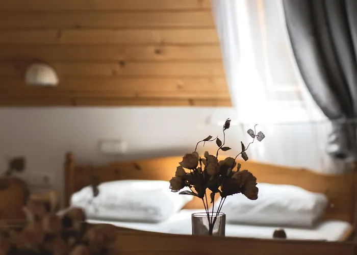 Balf Panzio Nocleg ze śniadaniem 3*